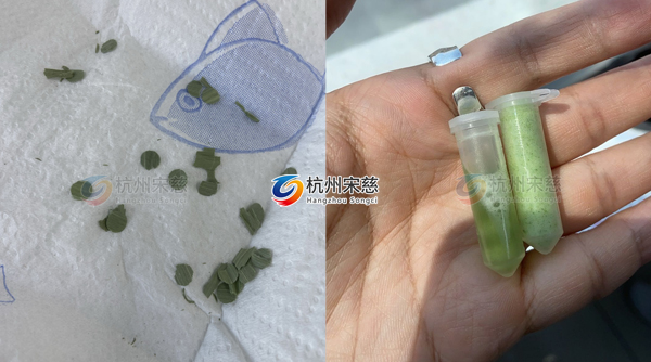 利用高通量組織研磨儀快速高效率實現(xiàn)植物干葉片研磨實驗